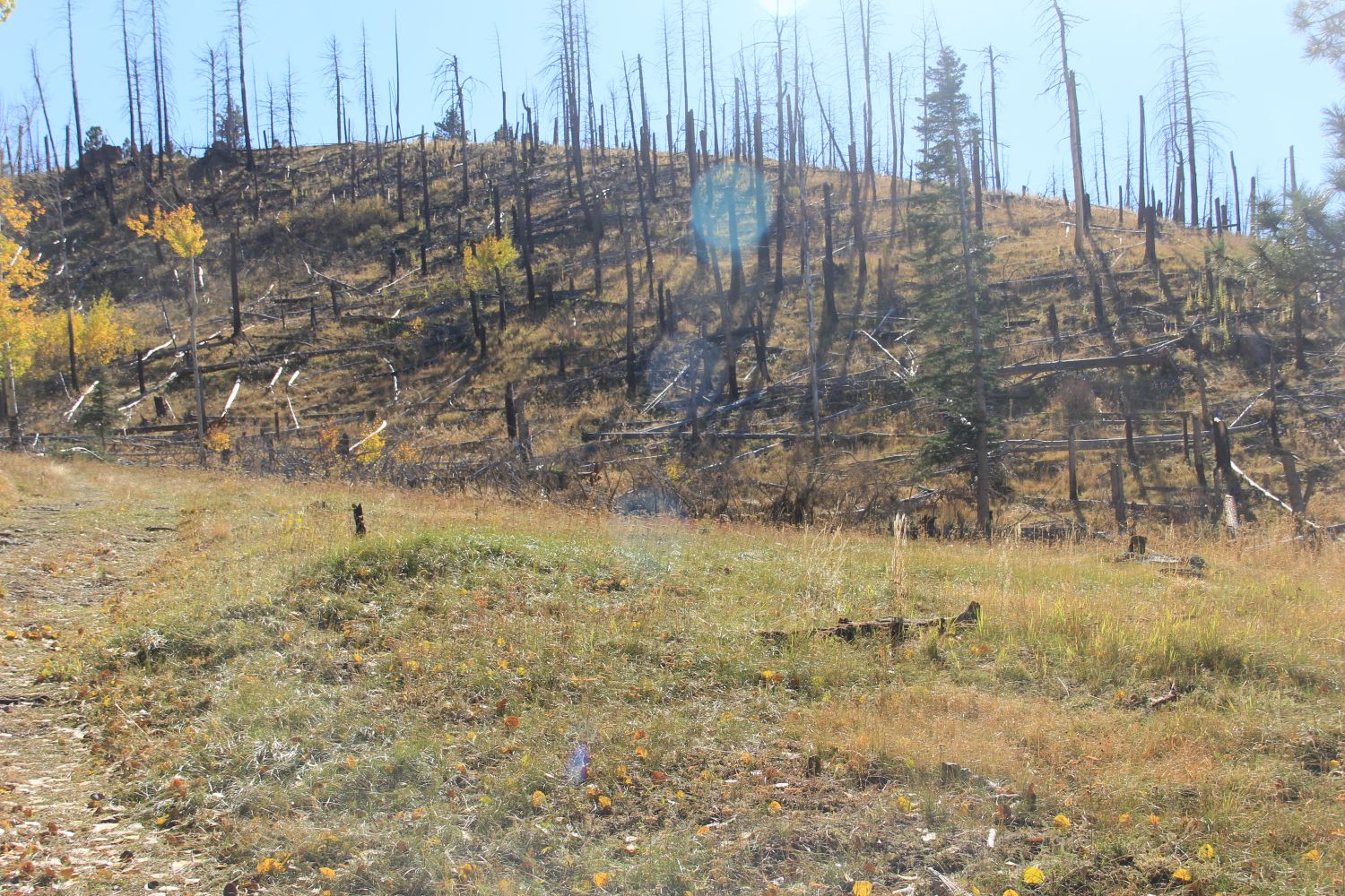 Valles Caldera National Preserve 